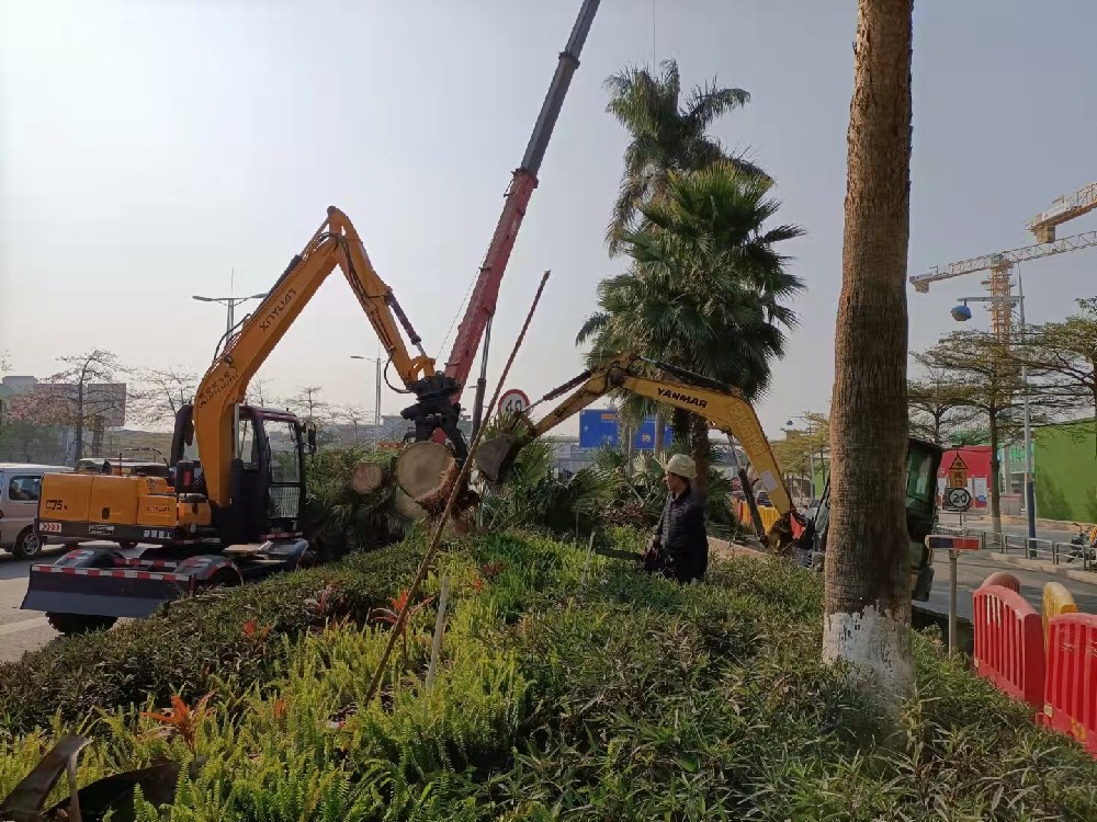 佛山工廠廠區(qū)綠化工程的可持續(xù)性管理